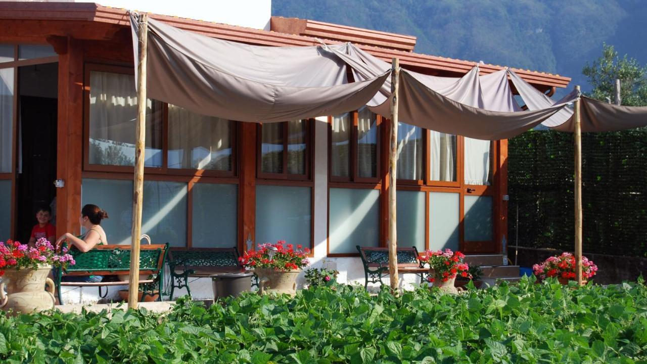 Villa Madre Terra Pimonte Exterior foto